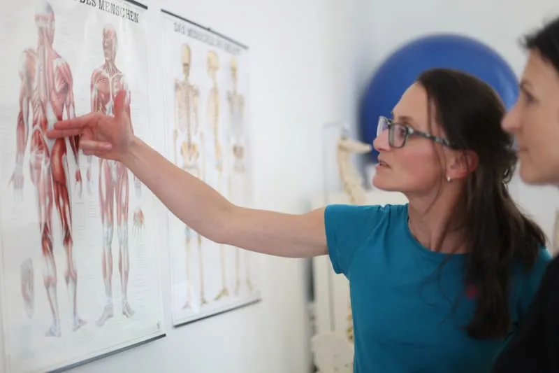physiotherapie-graz-ergonomie-erklärung-anatomie-bewegungsapparat Physiotherapie Graz Prävention Ausgleichsübungen