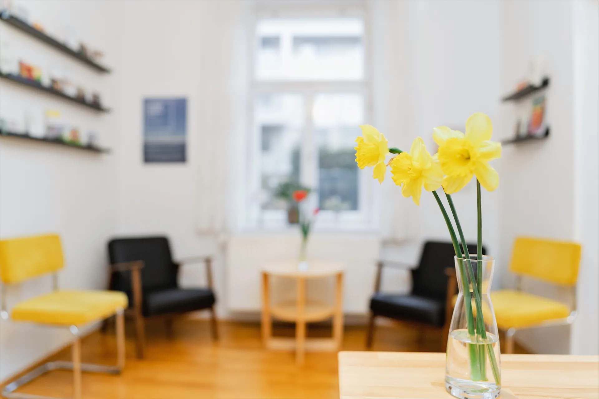 praxisraum-mieten-warteraum-blumen-mit-sesseln-zeitschriften praxisraum zur Vermietung mit Blumen