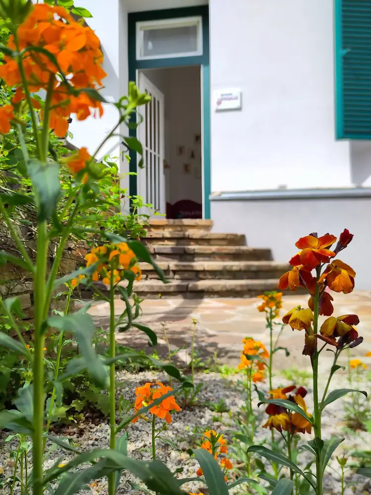 therapiezentrum-physiotherapie-graz-treppeneingang-ansicht-von-aussen Innenhof mit Blumen